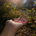 Rose Radiance Crystal Wire-Wrapped Bracelet