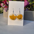 Amaltas flower preserved earings